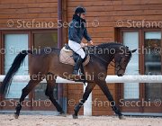 Indorami Tosc Tour2013- S5 1745 : Arezzo, Cavalli d'Italia, Indorami di Villa Giove, Toscana Tour 2013, foto di Stefano Secchi ©